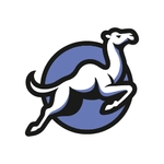 Roundnet Club Dromedar Rankweil logo