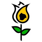 Brampton Roundnet logo