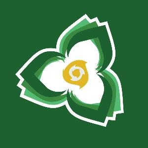 Roundnet Ontario logo