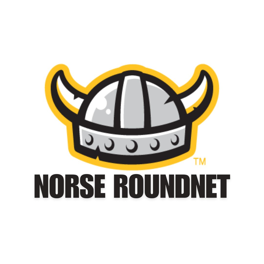 Norse Roundnet logo