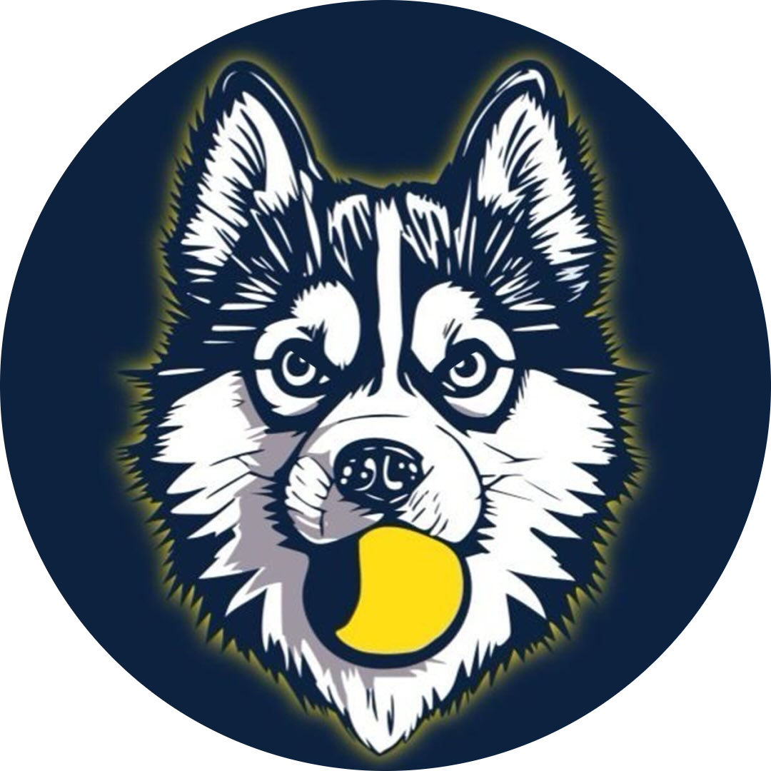 Uconn Roundnet logo