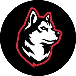 Northeastern Roundnet logo