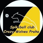 Spikeball club Crazy Wolves Praha logo