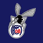Mosquitos Mannheim logo