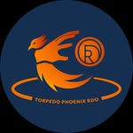 Torpedo Phoenix Roundnet Dortmund logo