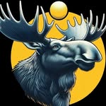 Roundnet Elmshorn logo