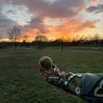 Roundnet Homburg logo