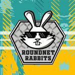 Roundnet Rabbits Regensburg logo