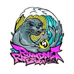 Roundnet Robben Aurich logo