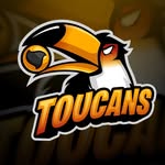 Roundnet Toucans Lindenau logo