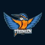 Roundnet Tübingen logo