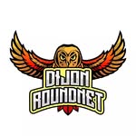 Dijon Roundnet logo
