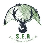 Saint-Etienne Roundnet logo