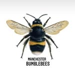 Manchester Bumblebees logo