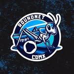 Roundnet Ciudad de Mexico logo