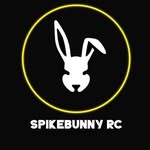 Spikebunny Roundnet Club logo
