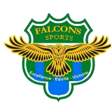 FALCONS  SPORTS logo