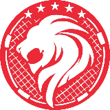 Singapore Roundnet logo