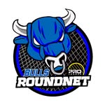 Buffalo Roundnet logo