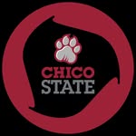 Chicago State Roundnet logo