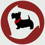 CMU Roundnet Club logo