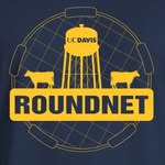 Davis Roundnet Club logo