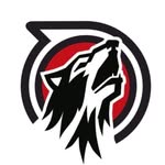 NC State Club Roundnet logo