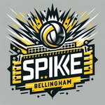 Bellingham Roundnet logo