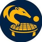 UCI Roundnet logo